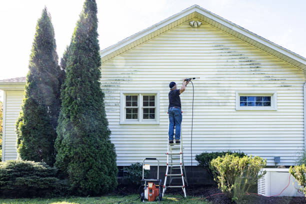 Best Graffiti Removal Services in Mason City, IA